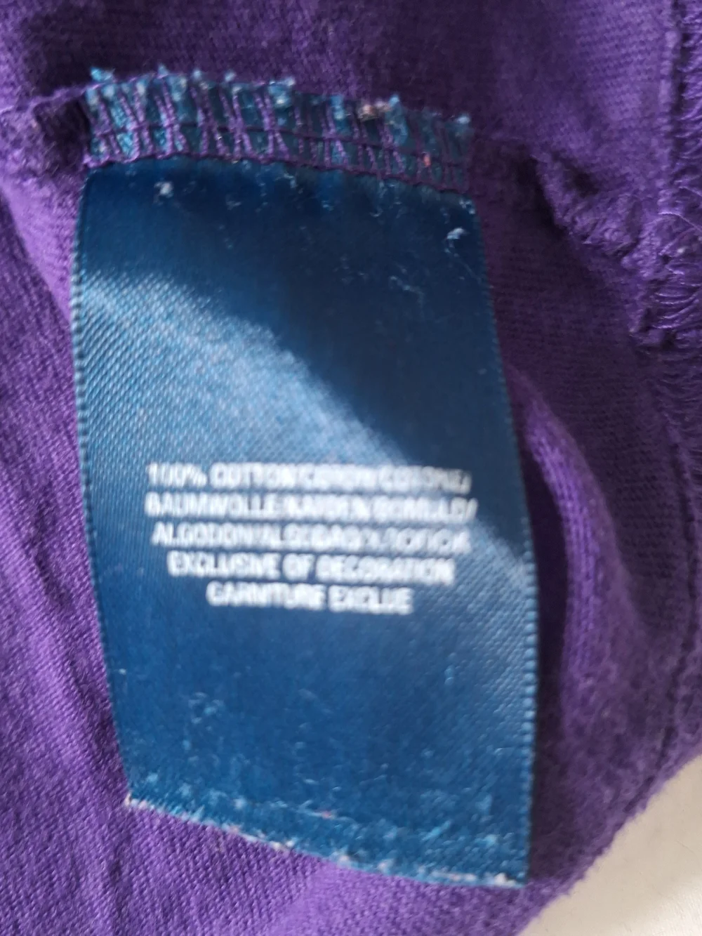 Polo by Ralph Lauren Purple / Green 100% Cotton T-Shirt Men’s Size XL(18-20)